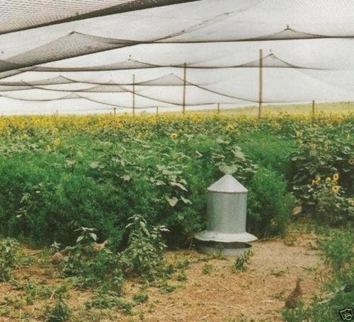 Poultry Netting 1" or 2" Mesh Heavy Knotted Nets Aviary Gamefowl Quail Chicken Bird Block Net Long Lasting Break/Burst 85/245 lb Polyethylene 8-10 Year Lifespan (25' X 100', 1)
