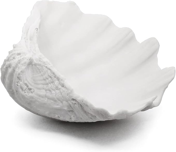 Accessoryway Large White Sea Shells Decorative Bowl Resin Clam Shell Bowl Beach Decorations for Home Coastal Beach Decor Decoration Storage Bowls & Home Office Nautical Themed Party Decor -10.2"-1PC