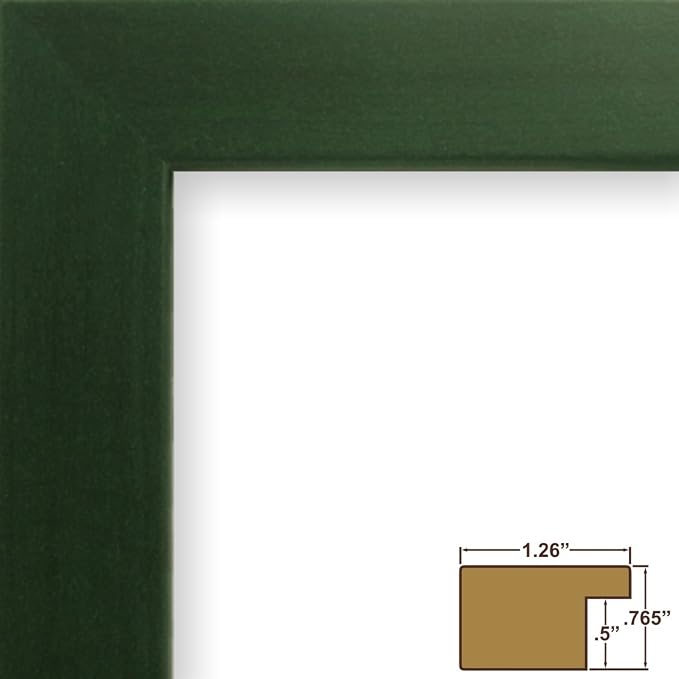 Craig Frames 26026 20 by 24-Inch Picture Frame, Smooth Wrap Finish, 1.26-Inch Wide, Green