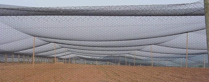 Poultry Netting 1" or 2" Mesh Heavy Knotted Nets Aviary Gamefowl Quail Chicken Bird Block Net Long Lasting Break/Burst 85/245 lb Polyethylene 8-10 Year Lifespan (100' X 100', 2)
