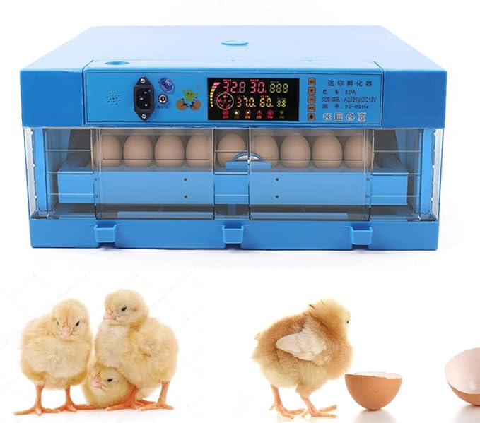 64 Eggs Incubator Digital,Automatic Egg Incubator, Eggs Chicken Quail Chick Hatcher, Hatching Mechine with Temperature Control Digital Display 