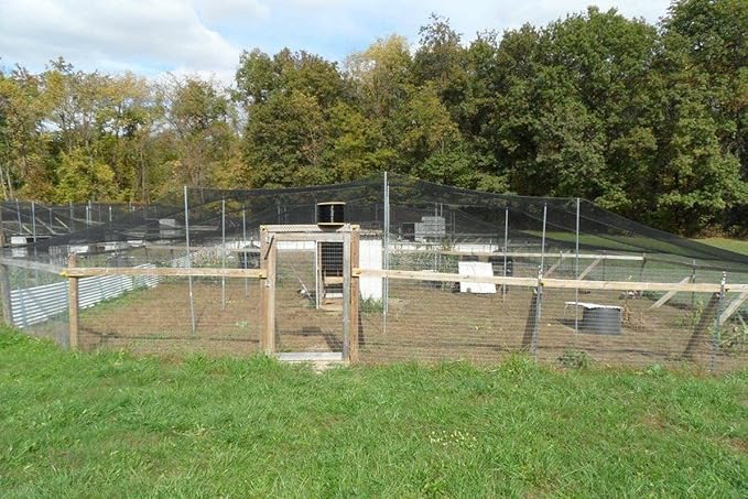 Poultry Netting 1" or 2" Mesh Heavy Knotted Nets Aviary Gamefowl Quail Chicken Bird Block Net Long Lasting Break/Burst 85/245 lb Polyethylene 8-10 Year Lifespan (6' X 150', 1)