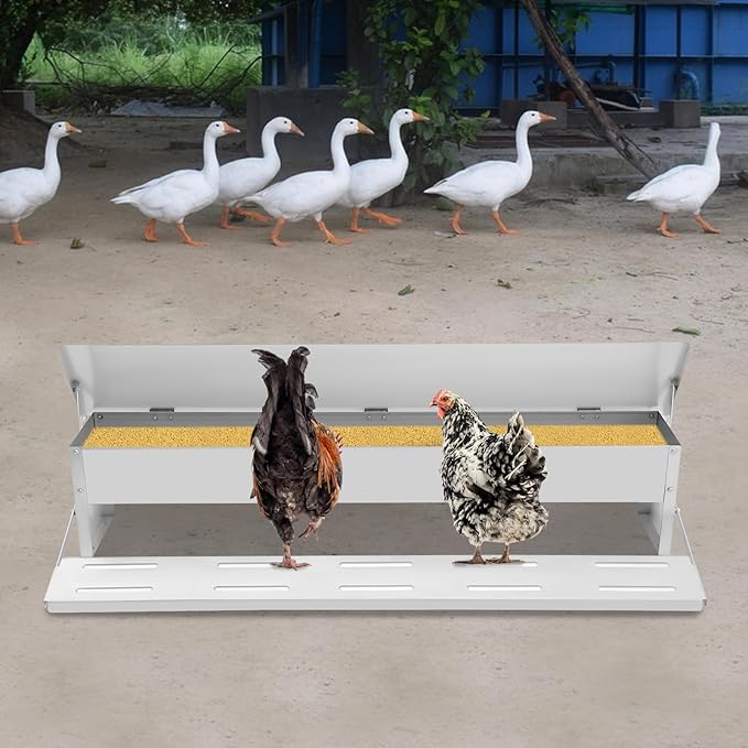 22lbs Automatic Chicken Feeder Large Capacity Poultry Feeders Treadle Galvanized Chicken Feeder with Weatherproof Lid for Chickens, Ducks, Geese