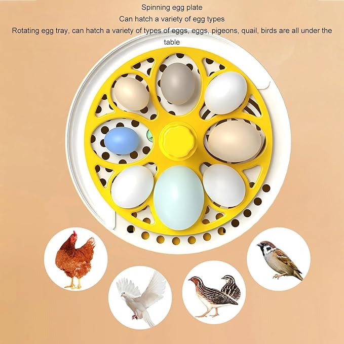 Sanpyl Egg Incubator, Mini Digital Incubators for, Poultry Hatching Machine with Automatic Temperature Control, for Hatching Chickens Ducks Pigeons (Auto Turning)