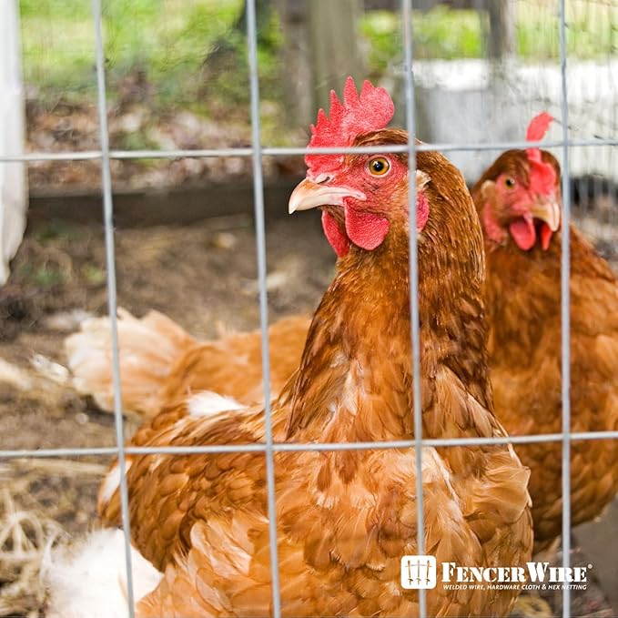Fencer Wire Welded Wire Fence 12.5 Gauge, Galvanized Welded Fence Wire Roll, Mesh Size 2-Inch x 4-Inch, Hog Wire Fencing Cage, Multiple Use for Home Improvement & Animals Enclosure (6ft. x 50ft.)