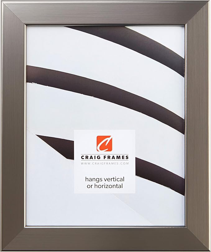 Craig Frames Bauhaus 125, 12x18 Picture Frame, Stainless Steel Gray