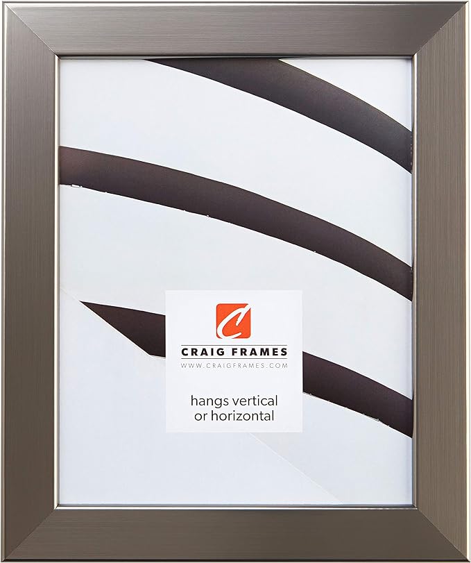 Craig Frames Bauhaus 125, 12x18 Picture Frame, Stainless Steel Gray