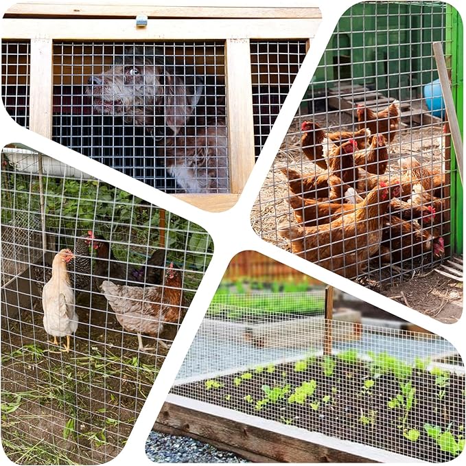 Hardware Cloth 1/2in 12'' x 20' 19GA ,Hot-dip Galvanized After Welding ,Chicken Wire Mesh,Chicken Coop Fence,Screen Mesh,Rabbit/Snake Fence,for Garden Poultry Animal Netting Cage