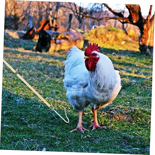Chicken Catcher Hook Tool Sturdy Construction for Efficiently Catching Chickens Ducks and Geese Farms Multipurpose Animal Catching Safe and Simple to Use