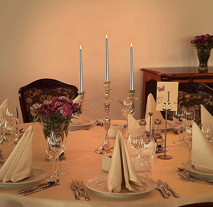 Hyoola Tall Taper Candles - 10 Inch - Metallic Titan - Dripless - 12 Pack - 8 Hour Burn Time