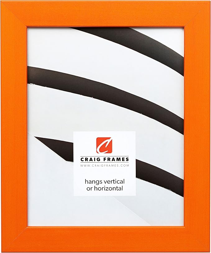 Craig Frames 11x14 Orange Picture Frame, Wall Decor for Art and Photos | Ready to hang with a protective glass front, made in the USA for a gallery display