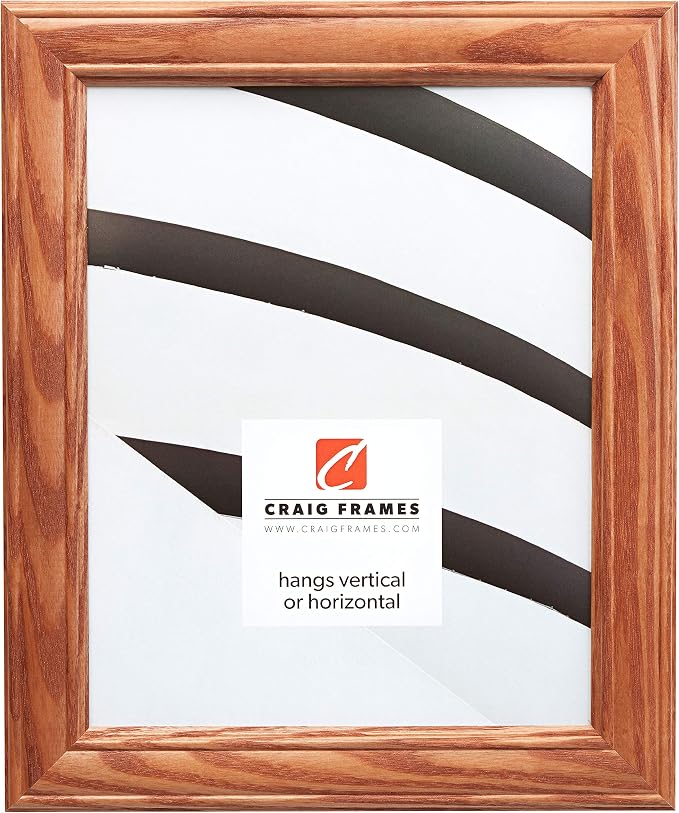 Craig Frames 22x28 Brown Picture Frame, Wood Wall Decor for Art and Photos | A lightweight, shatter resistant acrylic front, made in the USA for a gallery display