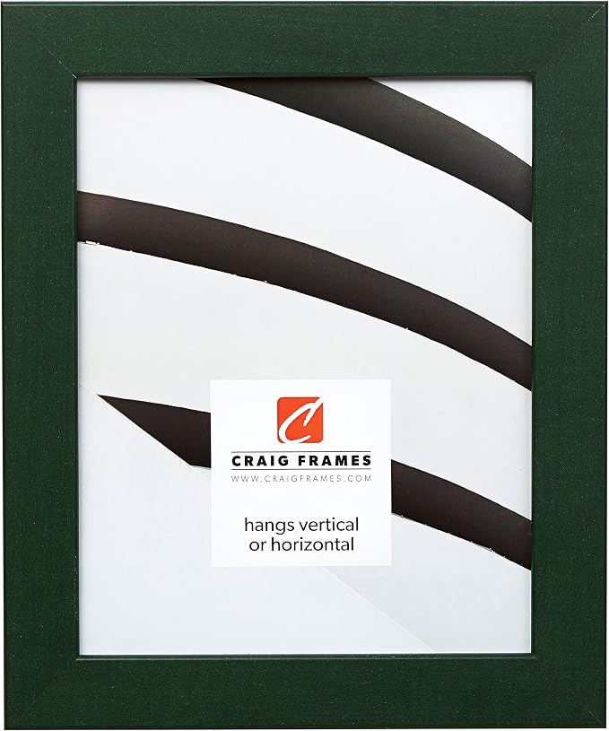 Craig Frames 26026 20 by 24-Inch Picture Frame, Smooth Wrap Finish, 1.26-Inch Wide, Green