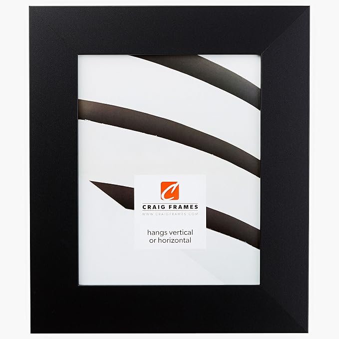Craig Frames 14x16 Matte Black Picture Frame for Posters and Gallery Wall | Lightweight shatter resistant acrylic facing with a rigid backing board, made in the USA