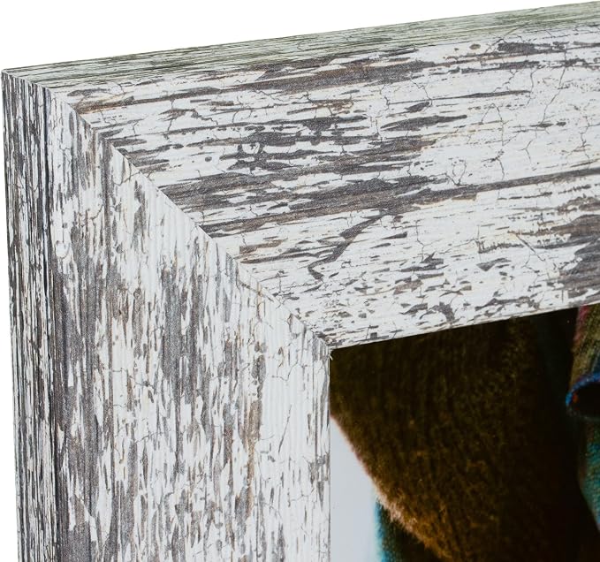 Craig Frames 20x29 White Picture Frame for Posters and Gallery Wall | Lightweight shatter resistant acrylic facing with a rigid backing board, made in the USA
