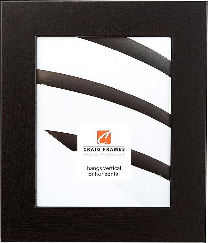 Craig Frames 14x20 Black Oak Picture Frame for Posters and Gallery Wall | Lightweight shatter resistant acrylic facing with a rigid backing board, made in the USA