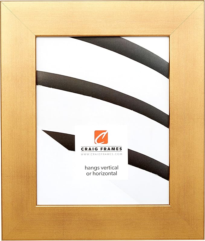 Craig Frames 16x24 Old World Gold Picture Frame for Posters and Photos | Lightweight shatter resistant acrylic facing with a rigid backing board, made in the USA