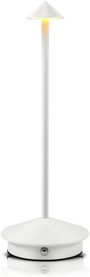Portable LED Table Lamp with Touch Sensor, 3-Levels Brightness Metal Desk Lamp, 3 Color Touch Control Rechargeable Lamp, Night Light, Bedside Lamp,Dining Room Lamp (White)