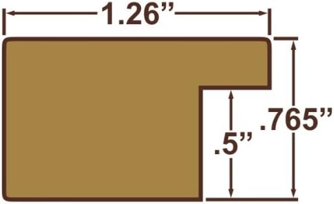 Craig Frames 18x36 Blue Picture Frame, Wall Decor for Art and Photos | A lightweight, shatter resistant acrylic front, made in the USA for a gallery display