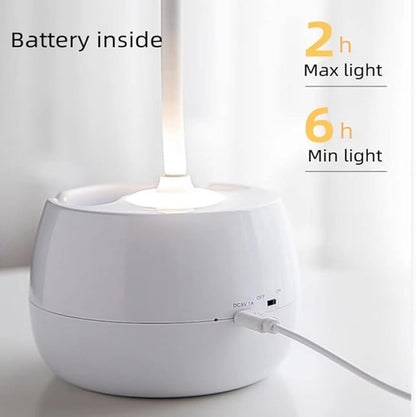 LED Desk Lamp with Pen Holder, Flexible Gooseneck Adjustable Brightness Level Reading Light, 2000mAh Rechargeable Eye-Caring with USB Port Touch Control