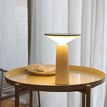 Mona' Modern Table Lamp, Partable Wireless LED Light, Dimming Touch Control Switch, 360 Adjustable, USB Rechargeable, Study Reading Desk Lamp for Home and Office (White)