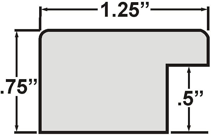 Craig Frames Bauhaus 125, 17x22 Picture Frame, Black Satin Mica