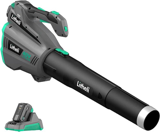 Litheli Cordless Leaf Blower 40V, 480 CFM Battery Leaf Blowers for Lawn Care, with Brushless Motor, Axial Blower for Blowing Leaf, Dust, Snow, Debris, with 2.5Ah Battery & Charger Included, Black