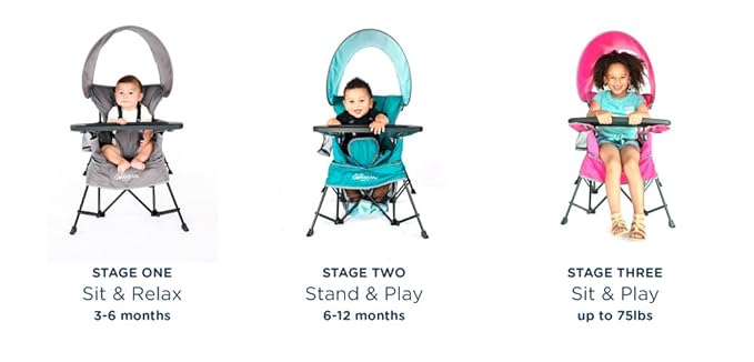 Baby Delight Go with Me Venture Portable Chair | Indoor and Outdoor | Sun Canopy | 3 Child Growth Stages | Pink