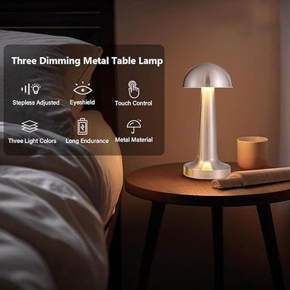 Portable LED Table Lamp, 3-Levels Brightness Metal Desk Lamp, 3 Color Touch Control Rechargeable Lamp, Night Light, Bedside Lamp,Dining Room Lamp (Silver)