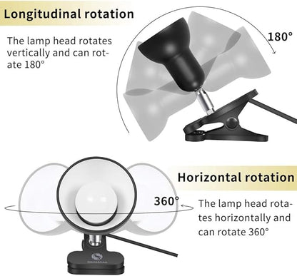 Sun-Rising Light clamp,360° rotation Clip on Lamp Portable Book Reading Light,Clamp on Desk/Table/Bunk Bed/Cupboard Home Lighting, (Desk lamp,seven colors for your choice) Green