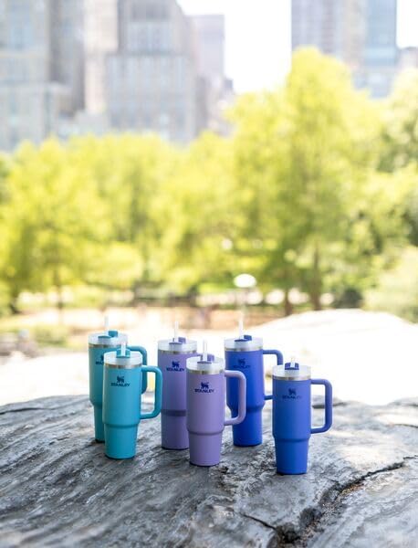 STANLEY Quencher H2.0 Flow State Tumbler, 30 oz, Iris | Handle and Straw | 3-Position Lid | Cup Holder Compatible for Travel | Insulated Stainless Steel Cup | BPA-Free