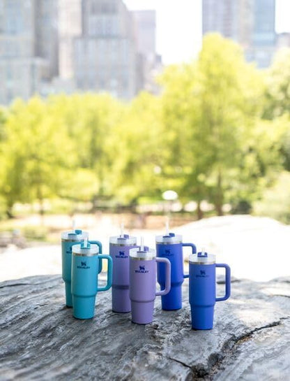 STANLEY Quencher H2.0 Flow State Tumbler, 30 oz, Iris | Handle and Straw | 3-Position Lid | Cup Holder Compatible for Travel | Insulated Stainless Steel Cup | BPA-Free