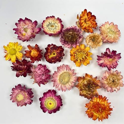 Edible Dried Mixed Flowers & Orange Slices Bundle, 100% Natural Garnish for Cocktails, Tea, Cake Decoration & Desserts, PET Jars, 7.05 oz Total