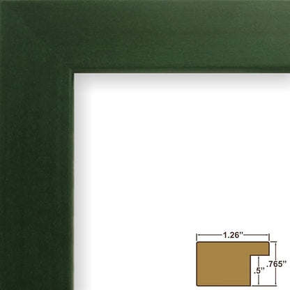 Craig Frames 26026 20 by 24-Inch Picture Frame, Smooth Wrap Finish, 1.26-Inch Wide, Green