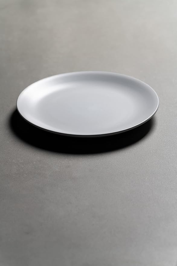 10 Strawberry Street Wazee Matte 10.5" Coupe Dinner Plate, Set of 6, White