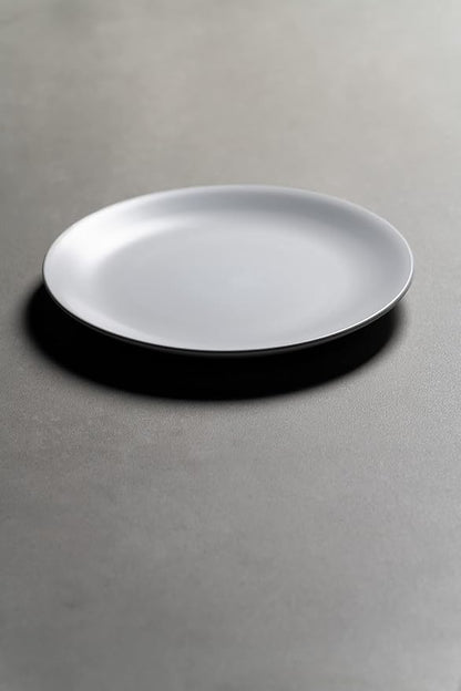 10 Strawberry Street Wazee Matte 10.5" Coupe Dinner Plate, Set of 6, White