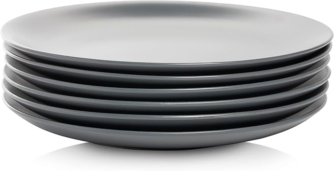 10 Strawberry Street Wazee Matte 10.5" Coupe Dinner Plate, Set of 6, Charcoal Gray