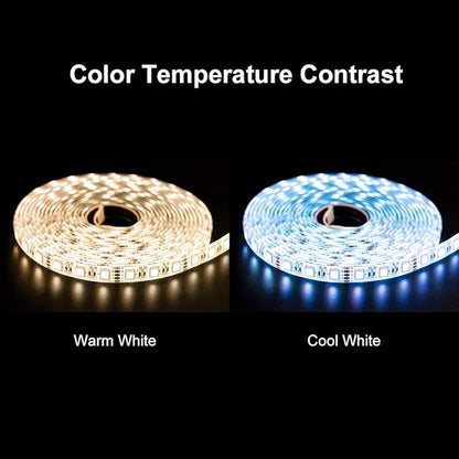 BTF-LIGHTING 5050 RGBW RGB+Warm White(2700K-3000K) 4 Colors in 1 LED Tape Light DC12V 5m 16.4ft 60LED/m Multi-Colored IP30 White 12mm PCB for Bedroom Kitchen Home Decoration(No Adapter or Controller)