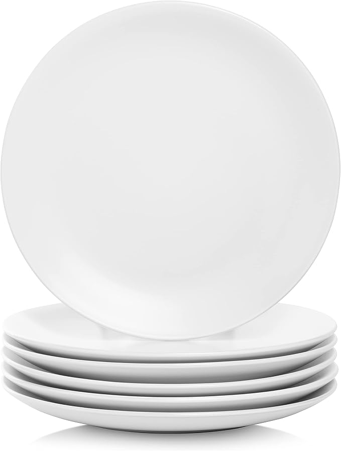 10 Strawberry Street Wazee Matte 10.5" Coupe Dinner Plate, Set of 6, White