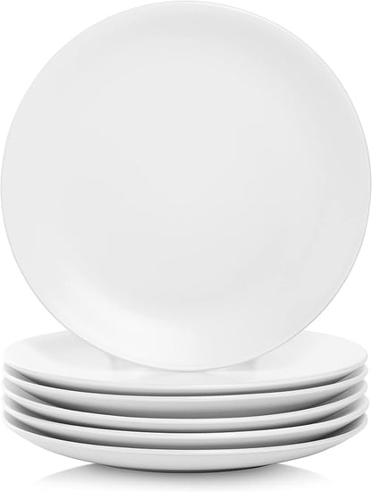 10 Strawberry Street Wazee Matte 10.5" Coupe Dinner Plate, Set of 6, White