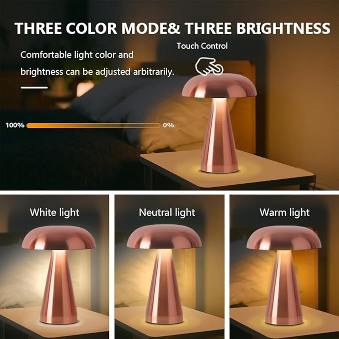 Portable Metal Desk Lamp,3-Color Touch Control, Rechargeable Battery - Ideal Bedside Lamp for Bedroom Nightstand