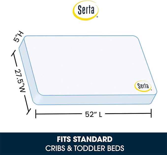 Simmons Kids SlumberTime Paloma 4-in-1 Convertible Crib, Rustic Grey + Serta Perfect Slumber Dual Sided Recycled Fiber Core Crib and Toddler Mattress (Bundle)