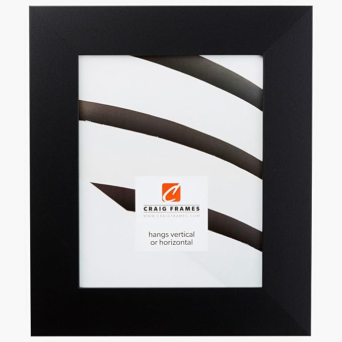 Craig Frames 14x16 Matte Black Picture Frame for Posters and Gallery Wall | Lightweight shatter resistant acrylic facing with a rigid backing board, made in the USA