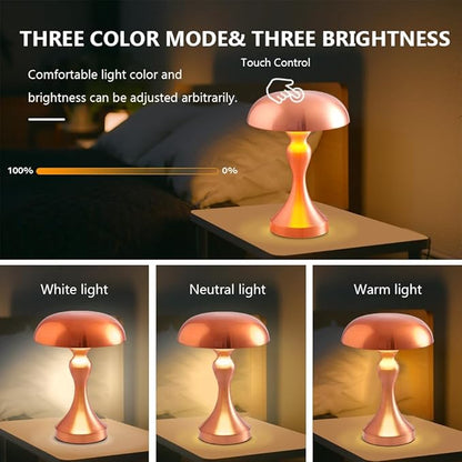 Portable Metal Desk Lamp,3-Color Touch Control, Rechargeable Battery - Ideal Bedside Lamp for Bedroom Nightstand