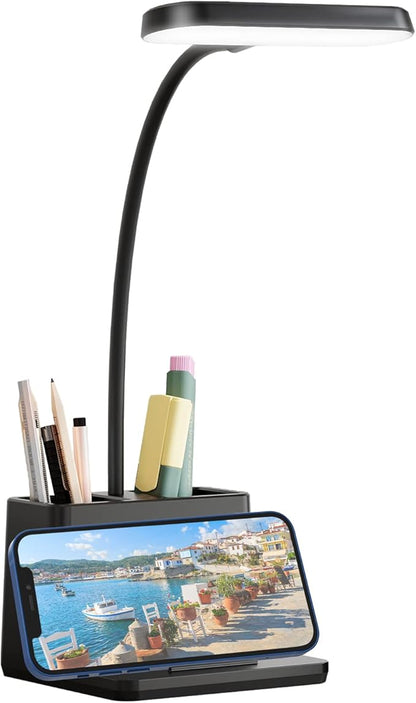 Battery Operated Desk Lamp, Small Desk Light for Home Office, Rechargeable Desktop Lamp, LED Portable Lamp with Adjustable Gooseneck, Black Study Reading Lamp for Kids