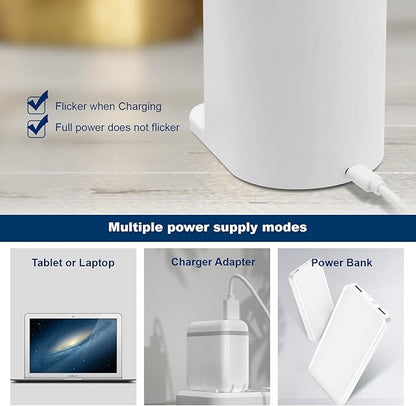 LED Desk Lamp with Wireless Charger and Organizer,Home Office Touch Reading Lamp with Pen Holder/Storage,Stepless Dimming 3 Color Modes,360°Flexible Gooseneck Eye Caring Desk Light-Study/College Dorm