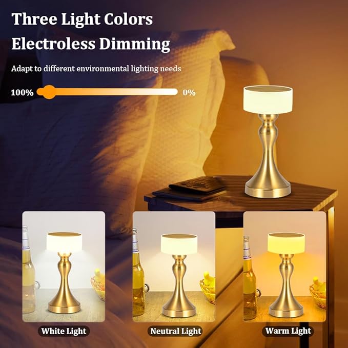Portable LED Desk Lamp - 3-Color Touch Control,3-Levels Brightness,Rechargeable Battery,Ideal Bedside Lamp for Nightstand,Bedroom, Living Room