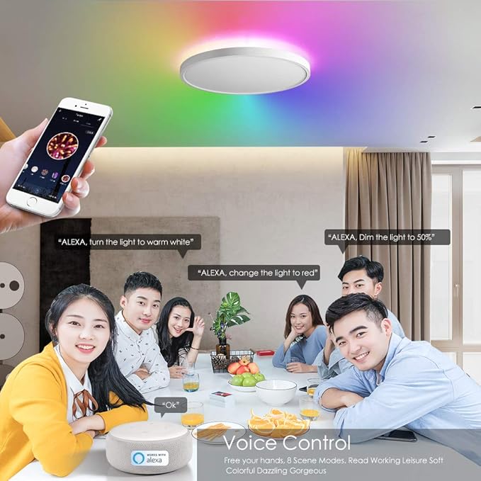 TALOYA Alexa Ceiling Light Smart, WiFi, Compatible with Google, 15.8 Inch Modern Dimmable Flush Mount LED Light Fixture for Living Room Office Kitchen, 28W RGBW