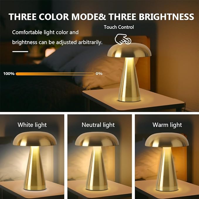 Portable Metal Desk Lamp,3-Color Touch Control, Rechargeable Battery - Ideal Bedside Lamp for Bedroom Nightstand