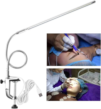 Desk Lamp with Clamp,Desk Lamp Clip on Lamp,LED Eye-Caring Desk Lamp with USB Rechargeable Reading Lights,Task Table Lamps,Foldable Bed Lamp,360° Swivel Desk Lamp for Manicure,Reading,Tattoo Light
